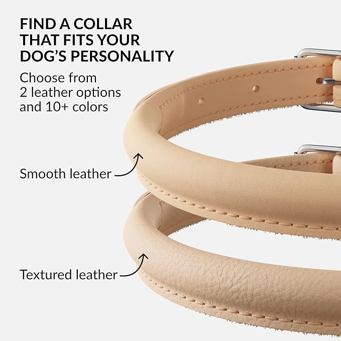 CollarDirect Rolled Leather Dog Collar, Soft Padded Round Puppy Collar, Handmade Genuine Leather Collar Dog Small Large Cat Collars 13 Colors (6 Inch, Beige Smooth)