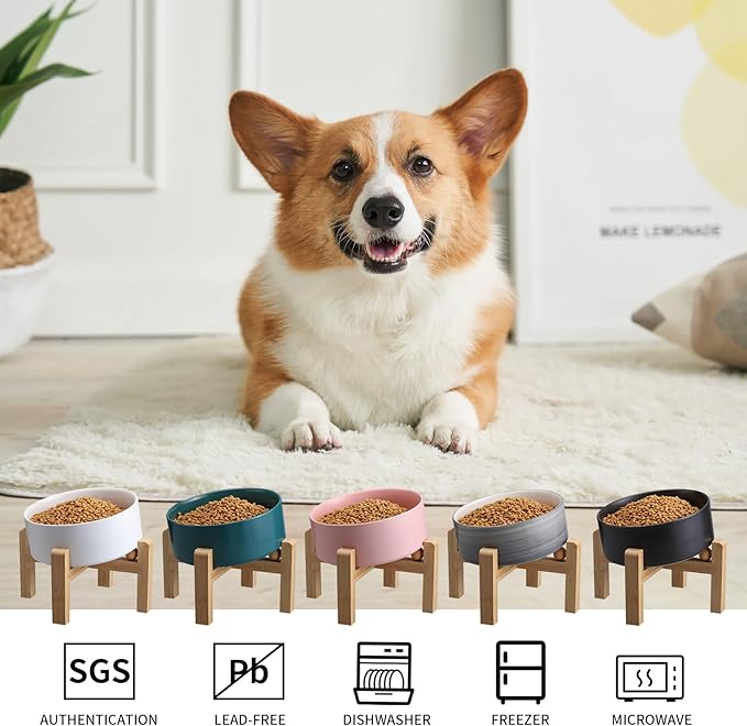 Black Elevated/Raised 15°Tilted Anti Slip Ceramic Dog Bowl for Small/Medium Breeds,Slanted Bulldog Big Face Pet Food Water Feeding Dish with Stand for Cats and Dogs (3.6 Cups/28 OZ)