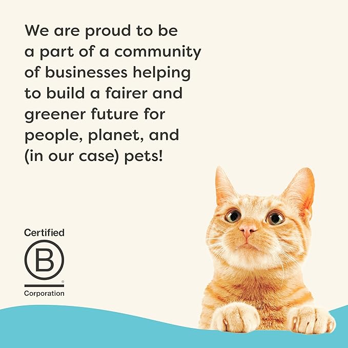 Applaws Vitality Wet Cat Food in Broth, Natural Canned Cat Food, Wet Food for Cats with Added Vitamins and Minerals, Grain Free, Carrageenan Free, Tuna Fillet in Broth (24 Count, 5.5oz Cans)