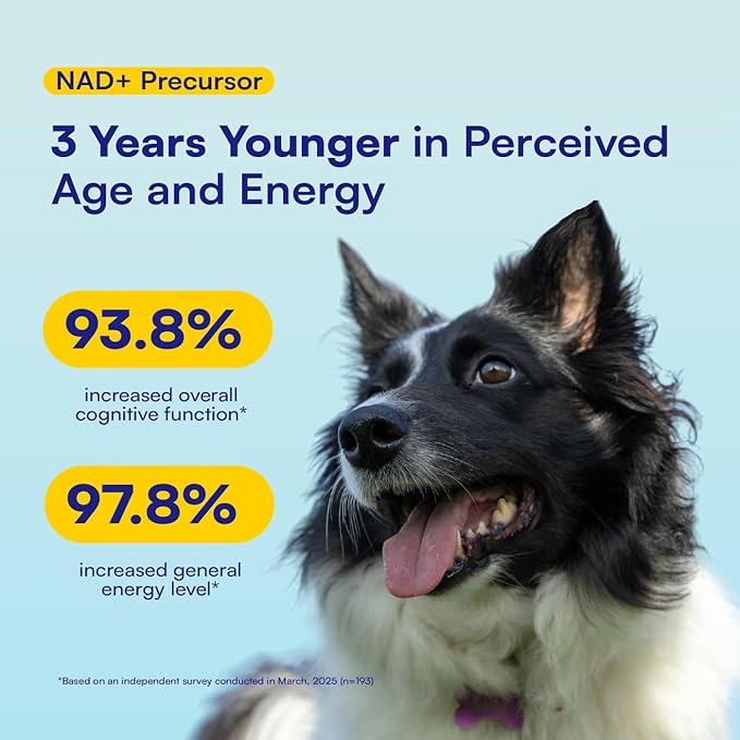 NAD+ Precursor & Senior Dog Supplement - 90 Soft Chews & Vitamins - NMN Alternative for Longevity, Anti-Aging & Energy - Nicotinamide Riboside, Resveratrol, Quercetin, Made with Pasture-Raised Chicken