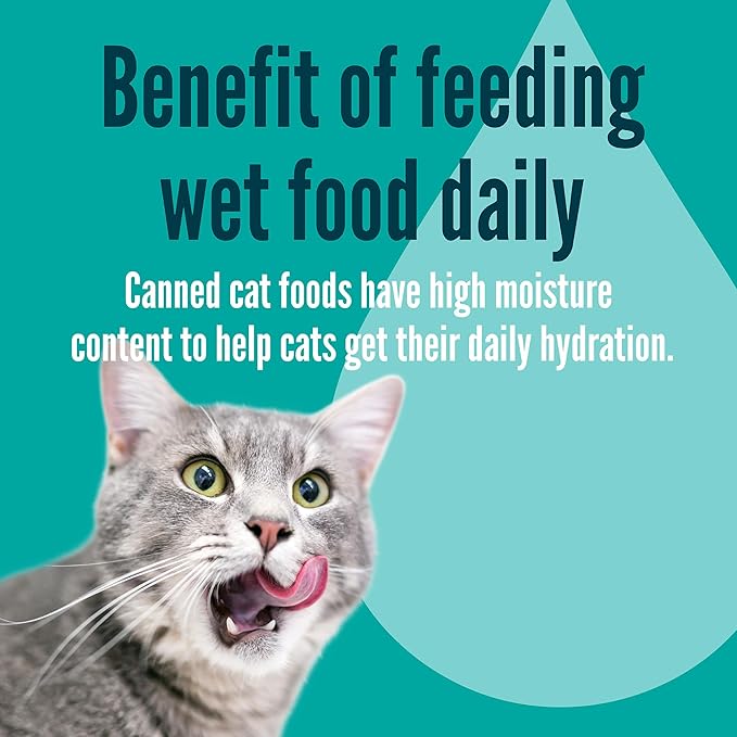 A Strong Heart Canned Wet Cat Food, Salmon Dinner Paté - 3 oz Cans (Pack of 24), Made in The USA with Real Salmon