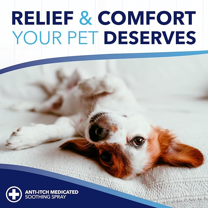 TropiClean Oxymed Soothing Allover Cat & Dog Wipes For Paws And Butt | Anti Itch Relief For Dogs & Cats 50 Count