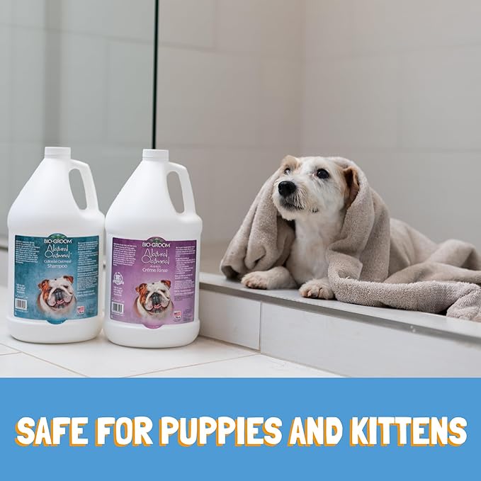 Bio-Groom Oatmeal Dog Shampoo – for Allergies and Itching, Cruelty-Free, Dog Bathing Supplies, Puppy Shampoo for Sensitive Skin, Made in USA, Anti-Itch Dog Products – 5 Gallons