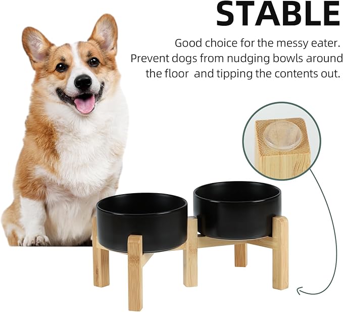 Ceramic Raised Double Bowls Set with Stand, 2 Heights Elevated, Food & Water Bowls for Small Breed Dogs, Weighted Dog Dishes, Pet Bowl(6.1'',28.7oz, Black)