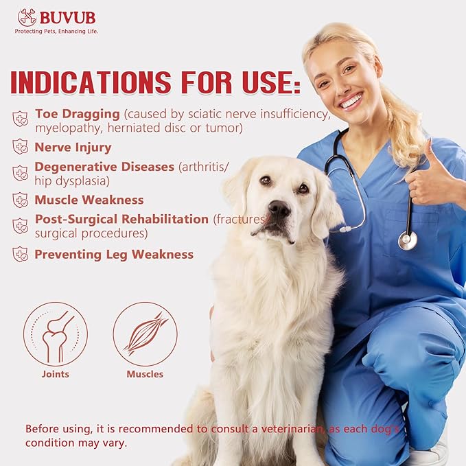 Dog Canine Knuckling Brace Rear Leg Dog Foot Brace Wrap for Toe Dragging Cause by Sciatic Nerve Insufficiency, Myelopathy, Herniated Disc (Medium)