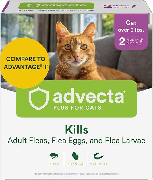 Plus Flea Prevention for Cats, Cat and Kitten Treatment & Control, Small and Large, Fast Acting Waterproof Topical Drops, 2 Month Supply