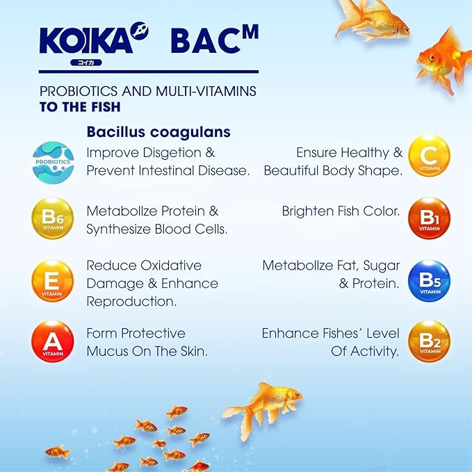 KOIKA BACM Natural Color Enhancement for Fish, Combination of Probiotic & Multi-Vitamins for Aquarium A, B6, B2, Pleasant Smell (BACM (New Formula), 10ml)