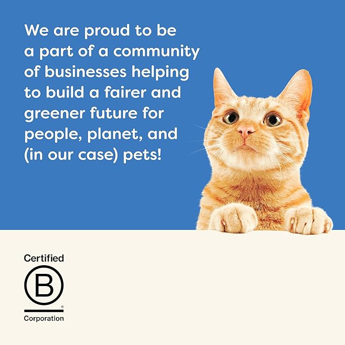 Applaws Natural Wet Cat Food in Broth, Limited Ingredient Wet Cat Food Pouches, No Additives, Made with Natural Ingredients, Tuna Fillet with Shrimp in Broth (12 x 5.3oz Pouches)