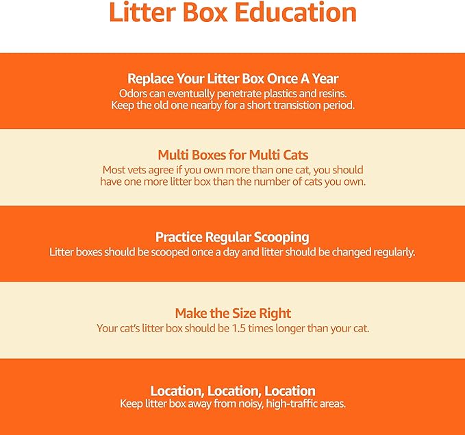 Amazon Basics Large Cat Litter Box with High Sides, Open Top, Includes Scoop, 19 x 15 x 11.75 inches, Grey/Beige