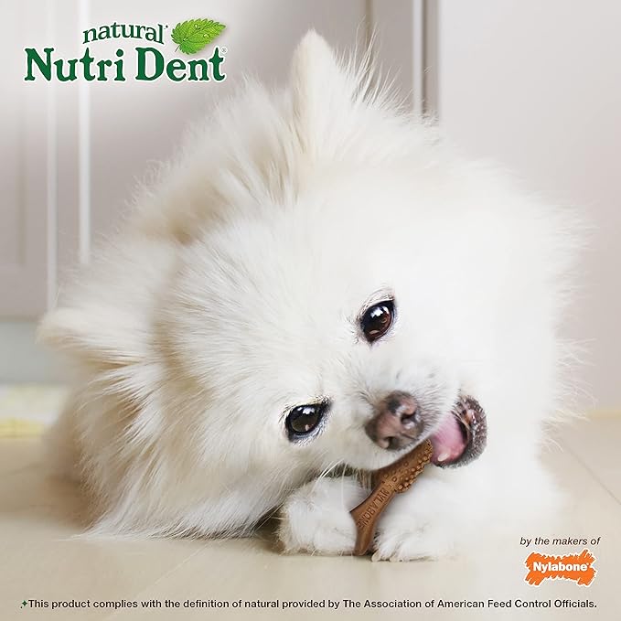 Nylabone Nutri Dent Dog Dental Chews - Natural Dog Teeth Cleaning & Breath Freshener - Dental Treats for Dogs - Filet Mignon Flavor, Mini (32 Count)