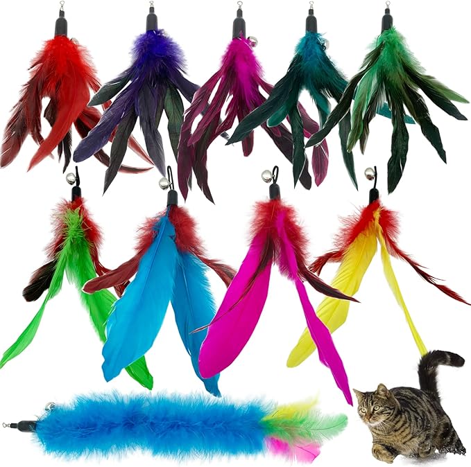 Cat Feather Toys Refills, 10 Pieces Interaction Cat Wand Replacement Feathers Toy for Indoor Cats