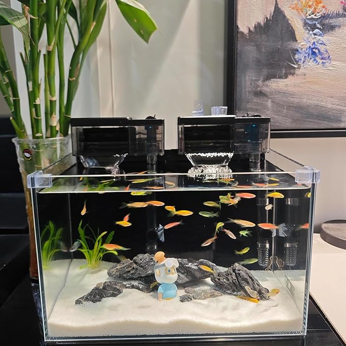 Natural Seiryu Dragon Stone - 20 Pound Aquarium Landscape Rock for Fish Tank Reptile and Amphibious Tank 3-10 Inch Aquarium Decoration