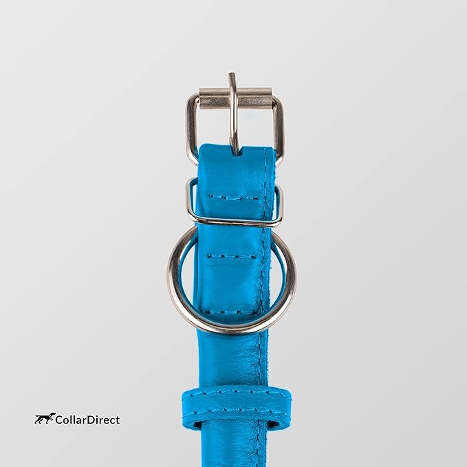 CollarDirect Rolled Leather Dog Collar, Soft Padded Round Puppy Collar, Handmade Genuine Leather Collar Dog Small Large Cat Collars 13 Colors (6-7 Inch, Light Blue Textured)