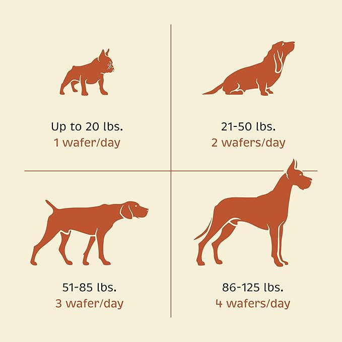 Health + Vitality for Dogs - Pet Supplement for Immune System, Coat, Liver Health & More - Dog Multifunctional Support with Choline, Calcium, Zinc, & Vitamins D and A - 90 Chewable Wafers