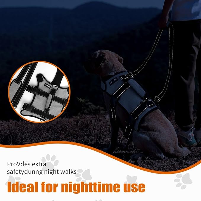 Ayquez Dog Lift Harness with Storage and Transport Bag, Dog Harness with Handle for Lifting & Hip dysplasia, arnés para Perros pequeños, pechera para Perros (Gray, XXL)