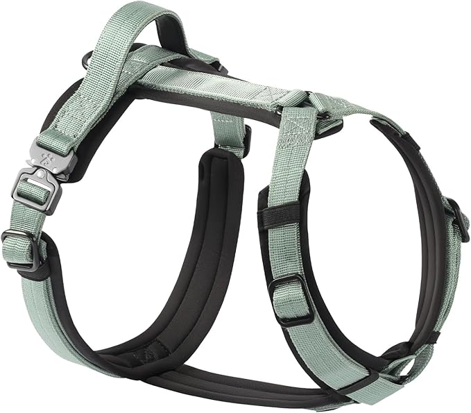 CLEPAWS Dog Harness for Large Dogs, No Pull Dog Harness Easy Walk with Metal Hardware, Ergonomic Y-Shaped Design, Soft Padding, Padded Handle, Durable High-Tensile Nylon (Seabreeze, L)