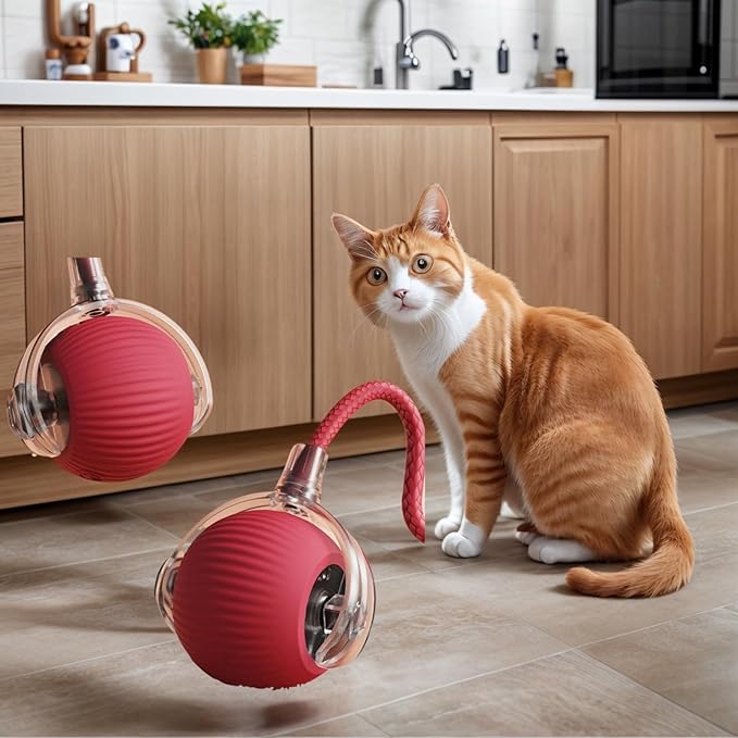Cat Toys Cat Toys for Indoor Cats Interactive Cat Toys Smart Obstacle Avoidance Cat Ball Indoor Cat Boredom Interactive Toys (Grizzly)
