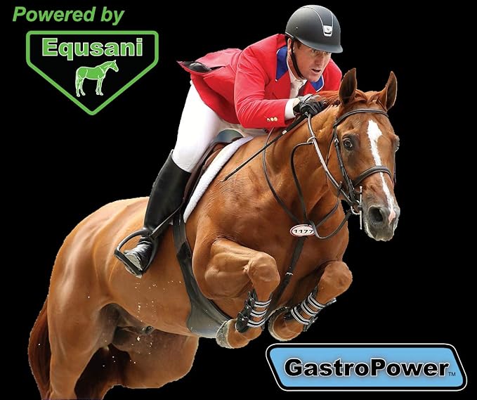 GastroPower Digestible Free Fatty Acid Feed Concentrate for Horses