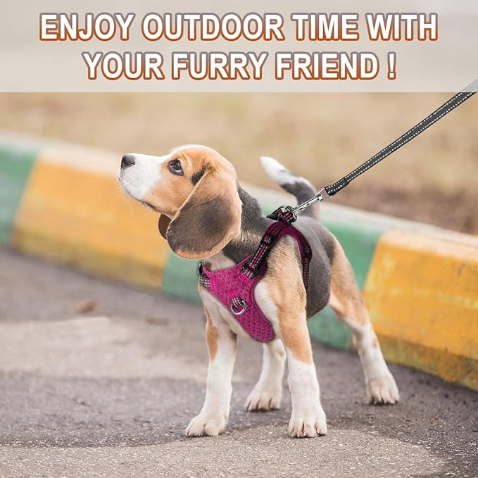 Dog Harness Step in Dog Vest Harness, Reflective Adjustable Puppy No Pull Harness Breathable Soft for Small and Medium Dogs Cats, Pink/Black, XXS