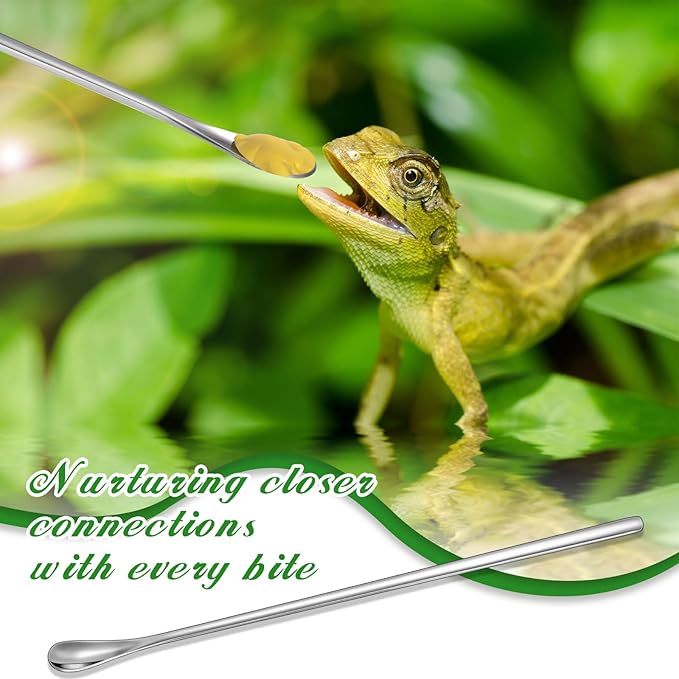 Lasnten 2 Pcs Crested Gecko Tank Accessories Stainless Steel Reptile Feeding Tong with Rubber Tip and Feeding Spoon Bearded Dragon Snake Aquarium Curved Tweezer Terrarium Feeder Tool for Tank