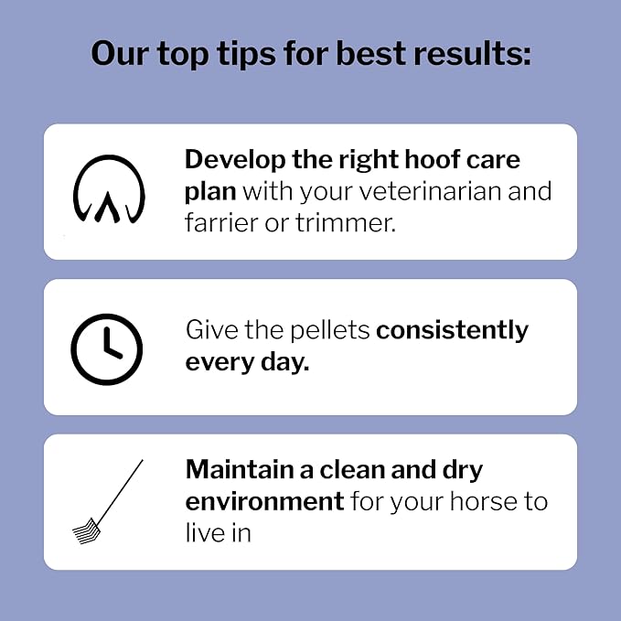 Formula 707 Hoof Health Equine Supplement, Daily Fresh Packs, 56 Day Supply - Biotin, Amino Acids, and Minerals to Improve and Support Healthy Horse Hooves