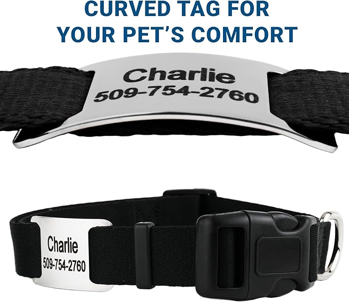 GoTags Reflective Personalized Dog Collar with Nameplate, Adjustable Dog Collar with Custom Engraved Steel Slide On Pet ID Tag, Silent, No Noise Dog Tag for Large Medium or Small (Light Blue, Medium)