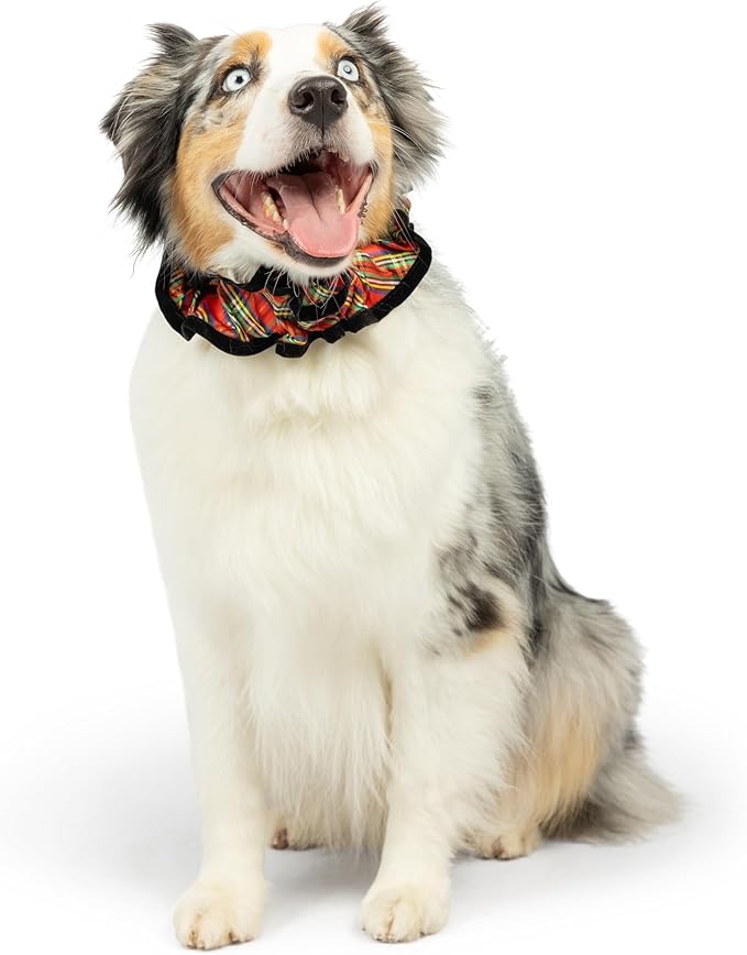 Huxley & Kent Ruff Pet Scrunchy | Shiny Christmas Plaid (Extra-Large) | Festive Christmas/Holiday Neckwear for Dogs/Cats | Fun Stretchable Costume Accessory | Soft Collar with Bells