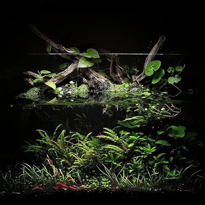 Ultum Nature Systems Controsoil - Freshwater Aqua Soil Substrate for Fish, Shrimp, Live Plant Propagation and Aquascaping - 6.8pH Low Ammonia, Volcanic Ash - Black, Normal (1 Liter | 2LB)