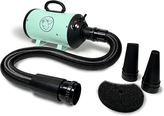 Flying Pig High Velocity Dog Pet Grooming Dryer w/Heater (Flying One, Mint w/Grey Logo)