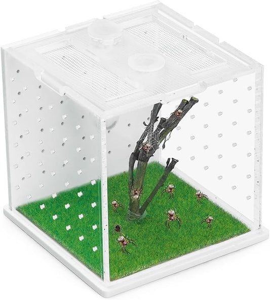 Acrylic Jumping Spider Enclosure, 2.95×2.95×2.87in Transparent Reptile Terrarium, Versatile Tarantula Enclosure for Small Reptiles/Insects, Small Reptile Tank with Dropper, Jumping Spider Accessories