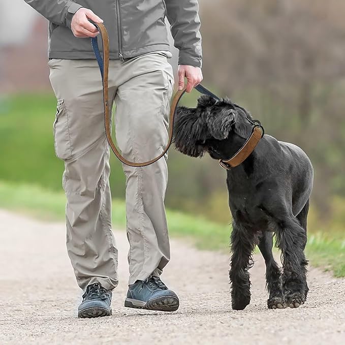 Didog Soft Padded Leather Dog Collar and Leash Set, Adjustable Dog Leash and Collar Set with Metal Buckle, Breathable Dog Collars with 4FT Leather Dog Leash for Small Medium Large Dogs, Brown, L