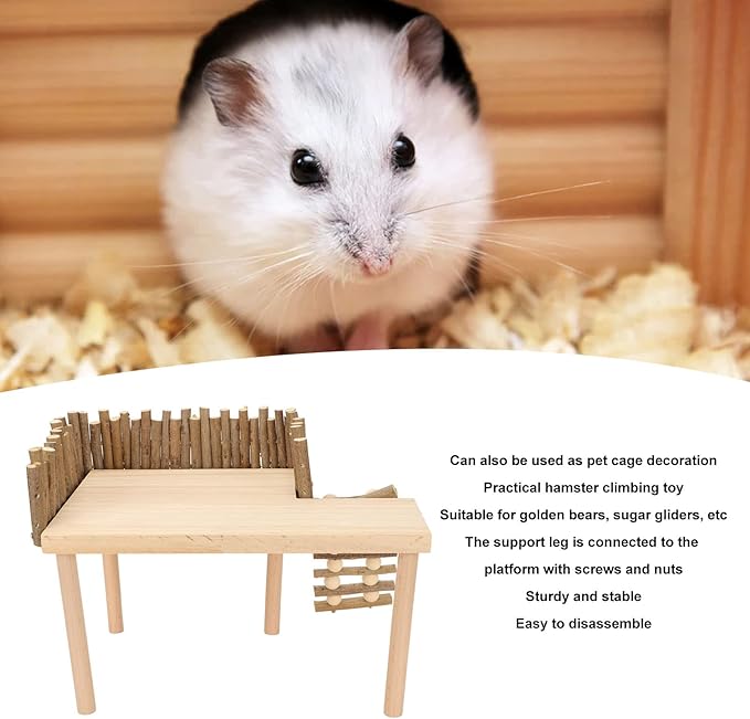 Diydeg Hamster Wooden, 2 Layer Small Hamster Stand Playground with Ladder, Hamster Climbing Toy Cage Accessories for Squirrel Gerbil Chinchilla Parrot Bird Small Animals