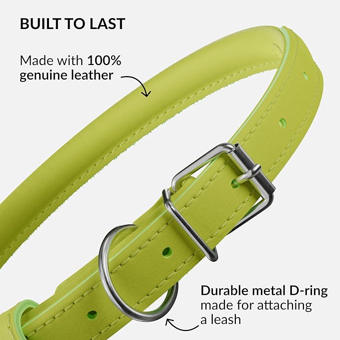 CollarDirect Rolled Leather Dog Collar, Soft Padded Round Puppy Collar, Handmade Genuine Leather Collar Dog Small Large Cat Collars 13 Colors (13-16 Inch, Lime Green Smooth)
