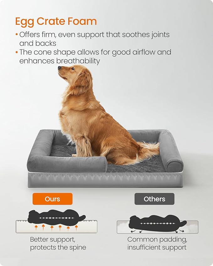 Feandrea Dog Bed, Orthopedic Large Waterproof Bed, Removable Washable Cover Dog Sofa with Non-Slip Bottom, Raised Edges, 42 x 32 x 8 Inches, Light Gray UPGW077G02V1