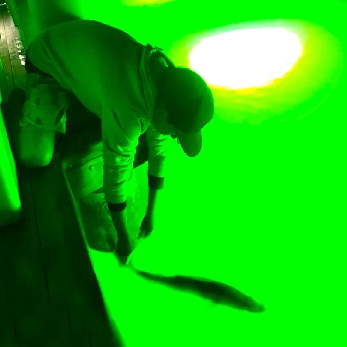 Underwater Fish Light 175-watt Single Dock Light for Fresh or Salt Water, Easy to Install, Attracts Fish, Dusk to Dawn Operation