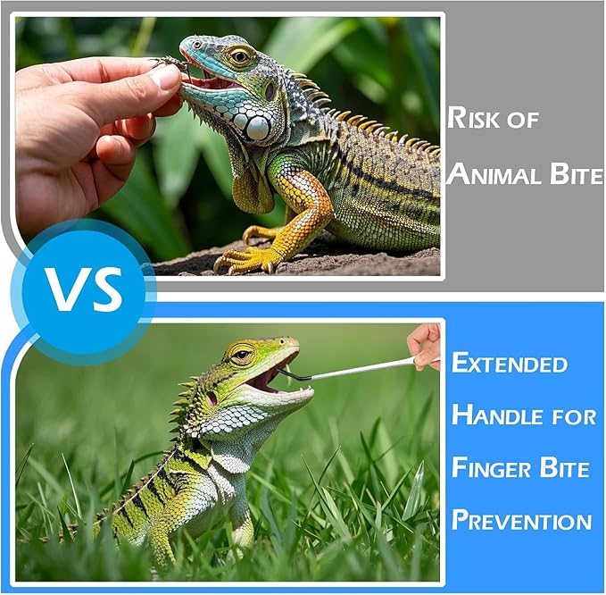 5 Pcs Reptile Feeding Tools Set with Silicone Tips - Extra Long Straight&Curved Tongs, Spoons, Scissors - Stainless Steel Terrarium Feeder Kit for Bearded Dragons, Lizards, Snake, Spiders, Aquarium