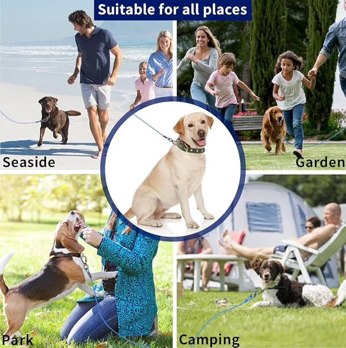 Dog tie Out Cable, 10/20/25/30/50/70/100 feet, Suitable for Dogs up to 350 pounds, Dog Cable with Swivel Buckle, Lightweight, Non-Winding, for Outdoor Camping, Yard Dog Cable (Blue, 70FT)