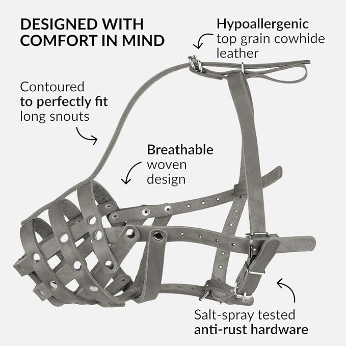 CollarDirect Dog Muzzle German Shepherd Dalmatian Doberman Setter Leather Basket Medium Large Breeds (Grey, Medium)