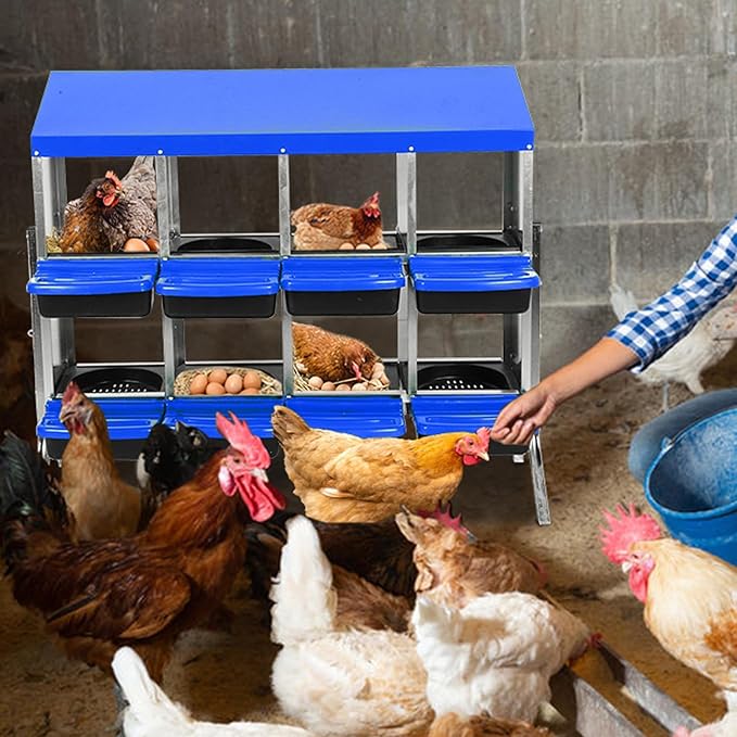 Chicken Nesting Box,8 Compartment Nesting Boxes for Laying Eggs with Legs,Wall Mount Poultry Roll Away Chicken Laying Boxes,Easy Egg Collection,Cleanable Pull Out Hen Roosting Boxes 8 Hole