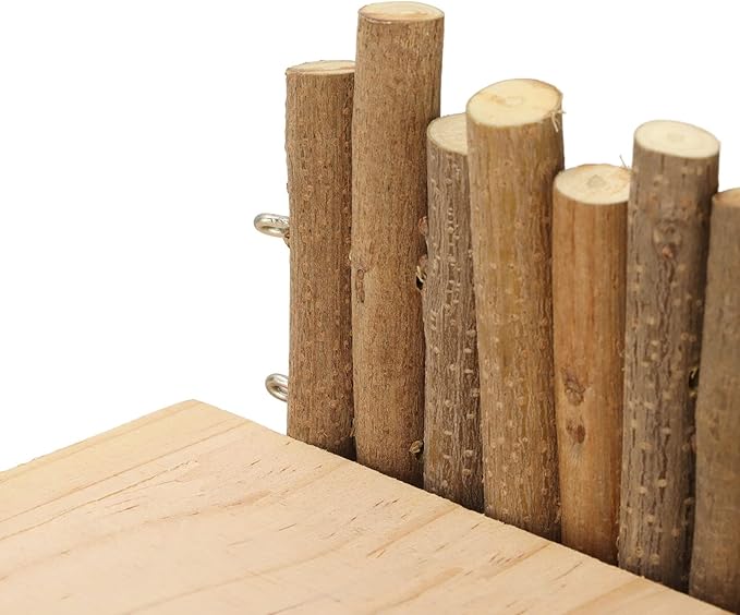 Diydeg Hamster Wooden, 2 Layer Small Hamster Stand Playground with Ladder, Hamster Climbing Toy Cage Accessories for Squirrel Gerbil Chinchilla Parrot Bird Small Animals