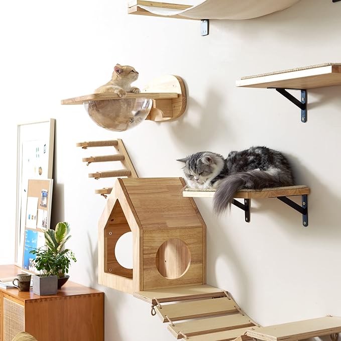 FUKUMARU Cat Wall Furniture Set, Transparent Capsule Kitten Walls Shelves with 2 PCS Pedals - Premium Kitty Bed for Sleeping, Playing, Climbing, and Lounging - Easily Holds Up to 35 Lbs