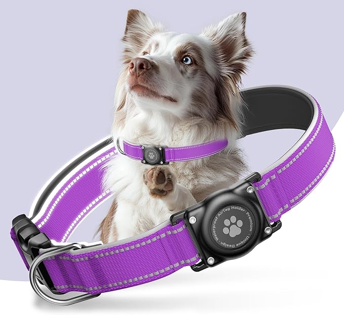 Airtag Dog Collar - 100% Waterproof Air tag Dog Collar Holder for Apple AirTag, Reflective, Soft Padded, Everlasting, GPS Dog Collar for Small Medium Large Dogs (Purple, M)