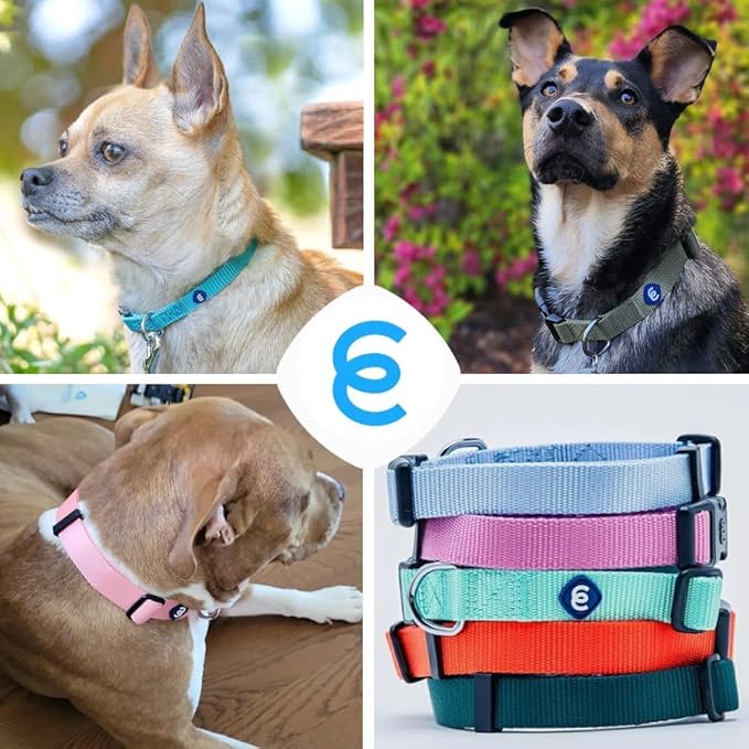 Blueberry Pet Essentials Large Dog Collar | Adjustable Nylon Dog Collar for Large Dogs | Fired Brick | Stylish Large Boy Dog Collar | Secure Puppy Collar | Dog Collars for Small Dogs & More