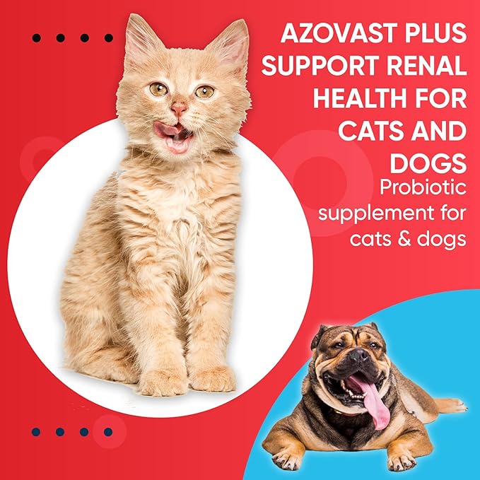 Azovast Plus Kidney Health Supplement for Dogs & Cats, Oral Powder (12 Oz) - (240 Doses/ 2 Jar) NO Refrigeration Required - Help Support Kidney Function & Manage Renal Toxins(U.S.A)(12 Oz (2 Pack))