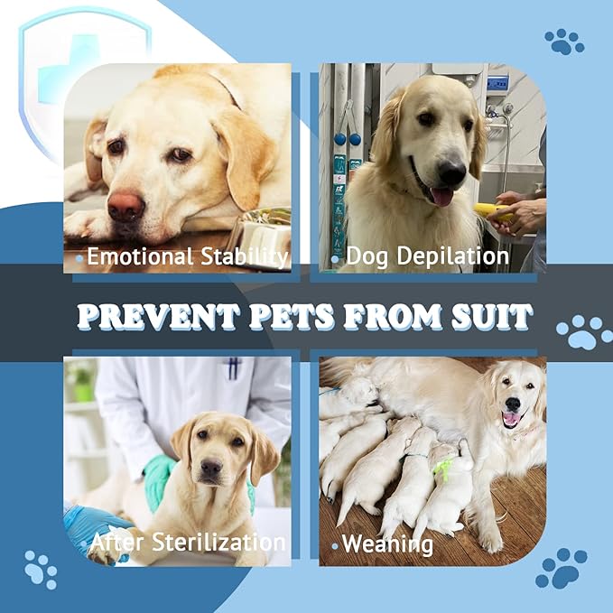 Breathable Dog Surgery Recovery Suit for Male/Female, Professional Dog Recovery Onesie with Zipper After Spay Abdominal Wounds, Anti Licking Cone E-Collar Alternative for Small Medium Large Dog