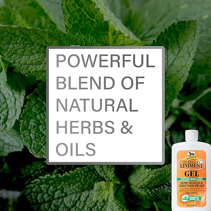 Absorbine Veterinary Liniment Gel, Topical Menthol Analgesic Rub for Sore Muscle, Joint & Arthritis Pain Relief, Combo Pack Includes 12oz Value Size + 3oz Travel Size