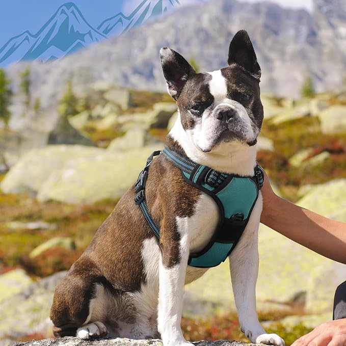 Eagloo Dog Harness Medium Sized Dog, No Pull Service Vest with Reflective Strips and Control Handle, Adjustable and Comfortable for Easy Walking, No Choke Pet Harness with 2 Metal Rings, Dark Green, M