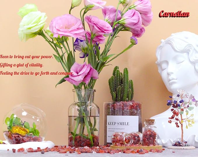 Carnelian Aquarium Gravel Rocks Natural Tumbled Healing Crystal Chips Bulk Gemstones Tumbled Crushed Stones for Fountain Vase Filler Planters Decorative Fish Tank Potted Reiki Energy Balancing 0.44lb