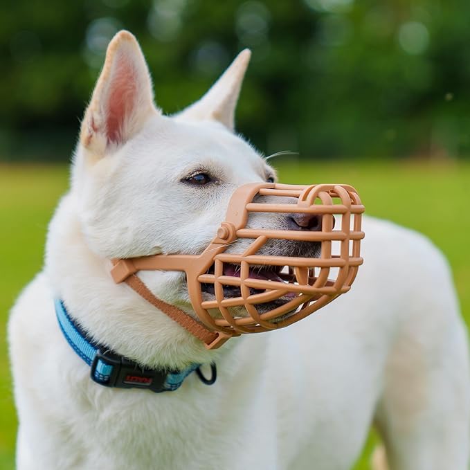 Baskerville Classic Basket Muzzle - Dog can Pant and Drink, Prevents Biting and Food Waste Scavenging, Strong TPR, Ideal for Longer Nosed Dogs, Breathable Dog Training Muzzle for Small Dogs (Size 2)