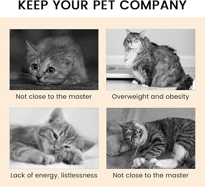 Cat Tunnel with Play Ball, Interactive Peek-a-Boo Cat Toys Cat Tube Toy, Colorful TS-Tunnel